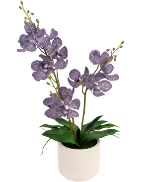 L'Ascocenda artificiale viola da 50 cm ha due steli di fiori di orchidea viola maculati con foglie verdi in un vaso bianco, su uno sfondo bianco semplice.