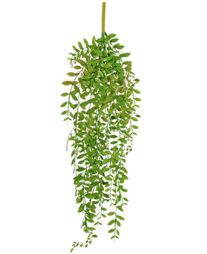 De Kunst hangplant Pumila 89 cm heeft kleine, ovale groene bladeren aan meerdere hangende stelen, tegen een effen witte achtergrond.