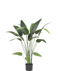 Piante Finte Heliconia 110 cm