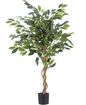 La pianta artificiale Ficus Green 120 cm ha foglie verdi e uno stelo ritorto, in un piccolo vaso nero su sfondo bianco a tinta unita.