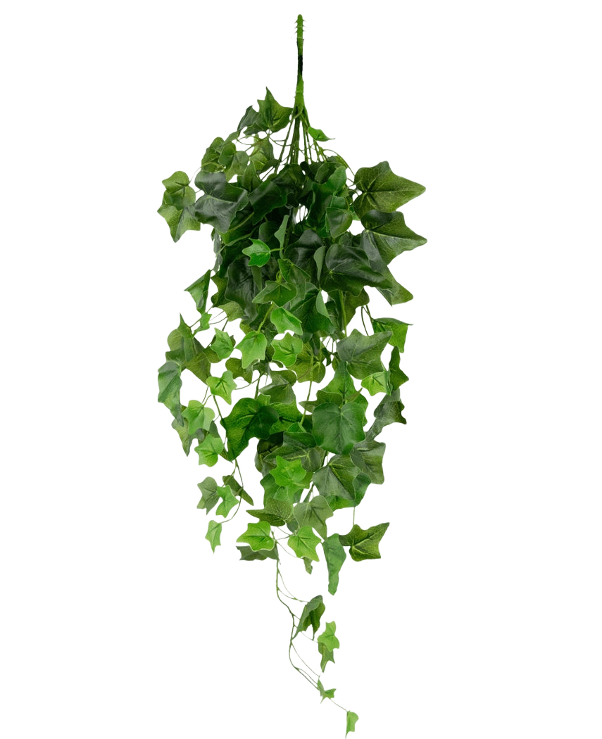 L'edera artificiale verde da 70 cm è un'edera artificiale pendente con foglie verdi pendenti e numerosi viticci su uno sfondo bianco a tinta unita.
