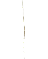 De Kunstbloem Salix wilg 150 cm is een enkele slanke tak met kleine knoppen over de lengte, tegen een effen witte achtergrond.