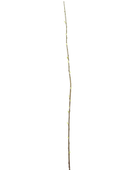 Fiore artificiale Salix 150 cm