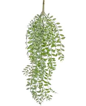 De Kunst hangplant Pumila/Eucalyptus 76 cm heeft groene, smalle bladeren en slanke stengels die naar beneden vallen tegen een effen witte achtergrond.