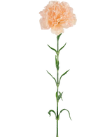 Kunstbloem Anjer 69 cm perzik