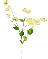 Il corniolo artificiale Real Touch giallo chiaro da 74 cm ha un unico stelo con foglie verdi e diversi fiori di corniolo giallo chiaro con petali dalla punta rosa, su uno sfondo bianco semplice.