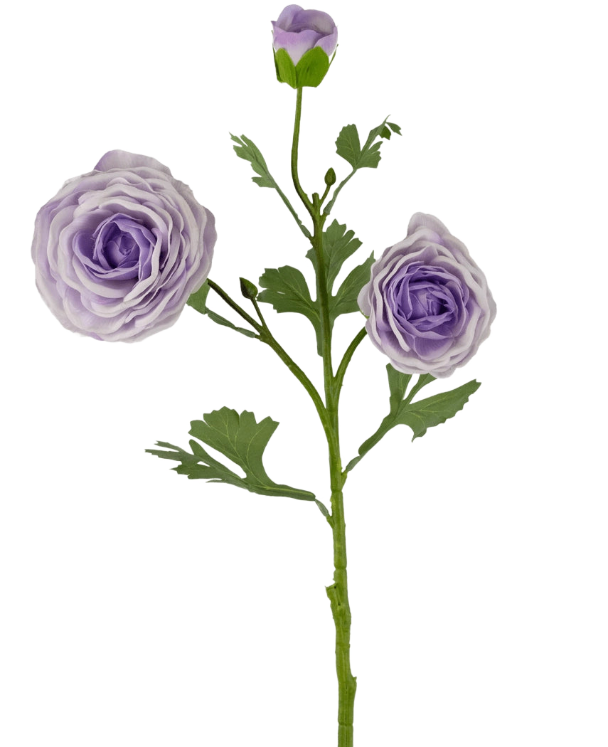 La rosa artificiale "Emine" Real Touch Purple 62 cm ha uno stelo verde con due ranuncoli viola chiaro aperti e un bocciolo viola, oltre a diverse foglie verdi, il tutto su un semplice sfondo bianco.