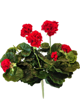 De Kunst Geranium 40 cm heeft levendige rode bloemen en weelderige groene bladeren, die een opvallende verschijning vormen tegen een witte achtergrond - perfect om tijdloze schoonheid toe te voegen aan elke ruimte met deze prachtige kunstplant.