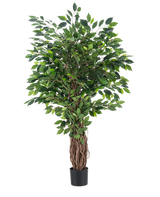 De Kunstplant Ficus Tropisch Liana 150 cm is een hoge kunstboom met een gevlochten stam en dichte groene bladeren, weergegeven in een kleine zwarte pot tegen een effen witte achtergrond.