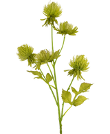 De Kunstbloem Distel 66 cm groen heeft een groene kunstdistel met meerdere ronde, stekelige bloemhoofdjes en gekartelde bladeren, tegen een witte achtergrond.