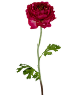 De Kunstbloem Ranonkel 51 cm donkerroze is een enkele kunstmatige dieproze ranonkel met gelaagde bloemblaadjes, een lange groene steel en twee gekartelde groene bladeren, tegen een witte achtergrond.