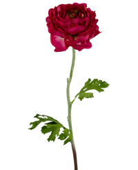 Fiore artificiale Ranunculus 51 cm rosa scuro