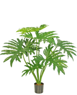 De Kunstplant Philodendron 80 cm is een kunstplant met grote, verdeelde groene bladeren in een kleine zwarte pot, afgebeeld tegen een effen witte achtergrond.
