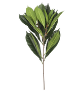 Het Kunstblad Cyathistipula 63 cm brandvertragend heeft een enkele tak met meerdere langwerpige groene bladeren in verschillende tinten op een slanke bruine stengel, tegen een witte achtergrond.