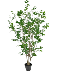 Pianta Artificiale Ficus 150 cm