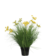 La pianta di erba artificiale Asteraceae ignifuga da 70 cm ha foglie verdi lunghe e sottili e mazzi di piccoli fiori gialli in un vaso nero, che è una pianta di erba artificiale a bassa manutenzione su uno sfondo bianco semplice.