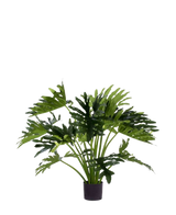 La pianta artificiale filodendro UV 90 cm ha foglie verdi grandi e profondamente lobate in vaso, perfette come pianta d'appartamento a bassa manutenzione per aggiungere verde agli interni. Su uno sfondo bianco dona uno stile naturale senza manutenzione.