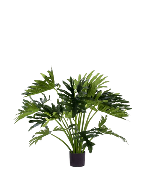La pianta artificiale filodendro UV 90 cm ha foglie verdi grandi e profondamente lobate in vaso, perfette come pianta d'appartamento a bassa manutenzione per aggiungere verde agli interni. Su uno sfondo bianco dona uno stile naturale senza manutenzione.