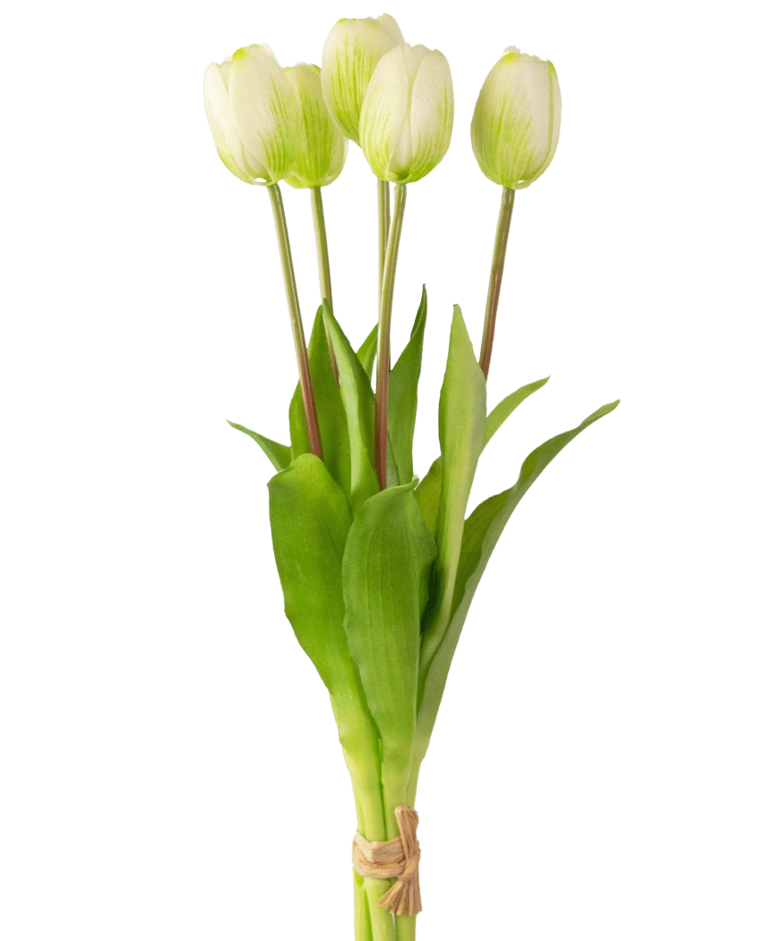 Il bouquet di tulipani artificiali Real Touch Verde/Bianco da 40 cm è composto da cinque tulipani bianchi realistici con steli e foglie verdi, legati insieme con spago, su un semplice sfondo bianco.