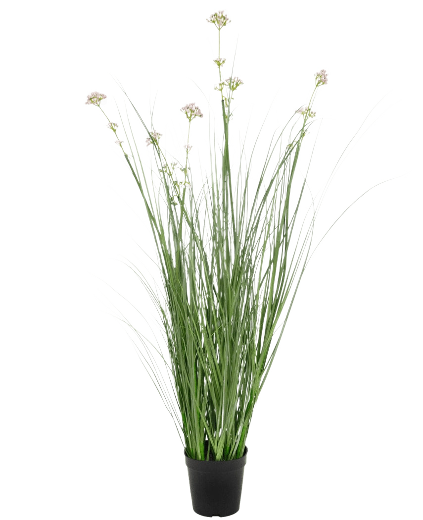 L'erba artificiale, fiore di porro, cipolla, vaso ignifugo da 90 cm ha foglie verdi lunghe e sottili e grappoli di fiori chiari in un vaso nero, su uno sfondo bianco semplice.