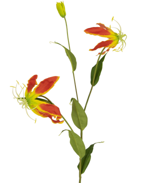 Il fiore artificiale Gloriosa 81 cm rosso/giallo ha due fiori aperti di giglio Gloriosa rosso e giallo, un bocciolo chiuso e una serie di lunghe foglie verdi, il tutto su uno sfondo bianco semplice.