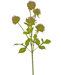 Fiore artificiale Cardo 66 cm marrone
