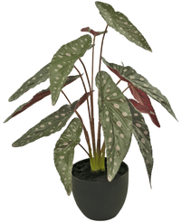 Begonia artificiale 48 cm in vaso ornamentale nero