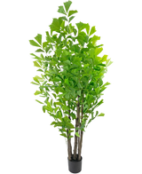 De Kunstplant Fishtailpalm 210 cm is een hoge kunstplant in pot met meerdere bruine stengels en weelderige groene bladeren, gepresenteerd in een kleine zwarte pot tegen een witte achtergrond.