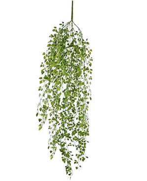 La mini edera artificiale pensile da 91 cm ha foglie verdi su steli sottili su uno sfondo bianco semplice.