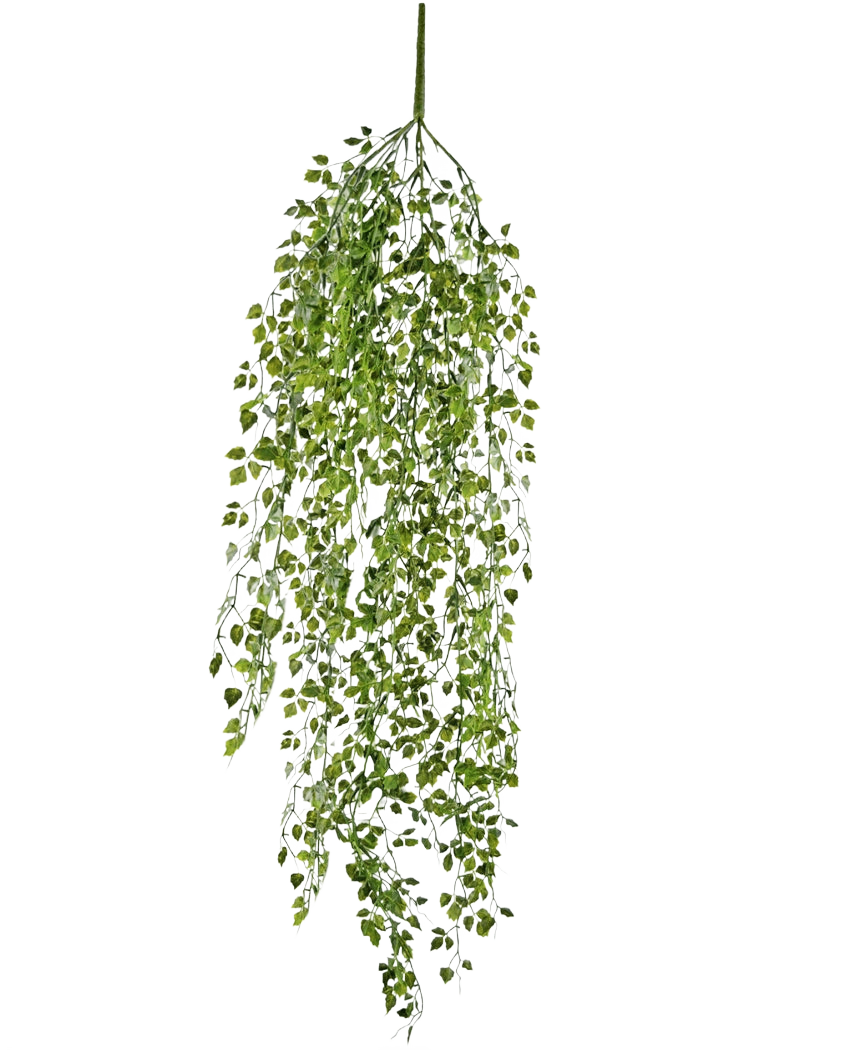 La mini edera artificiale pensile da 91 cm ha foglie verdi su steli sottili su uno sfondo bianco semplice.