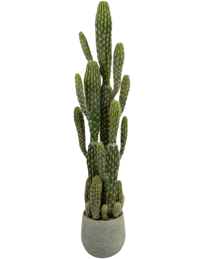 Il cactus artificiale da 100 cm ha bracci alti, verdi, eretti con creste, in un vaso rotondo grigio su uno sfondo bianco semplice.
