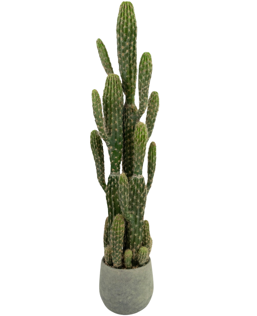 Il cactus artificiale da 100 cm ha bracci alti, verdi, eretti con creste, in un vaso rotondo grigio su uno sfondo bianco semplice.