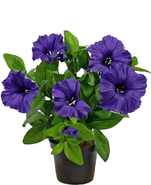 Una pianta di petunia artificiale UV 25 cm in viola con foglie verdi lussureggianti, esposta in un vaso su uno sfondo bianco semplice.