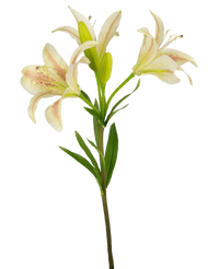 Fiore artificiale giglio asiatico 66 cm rosa