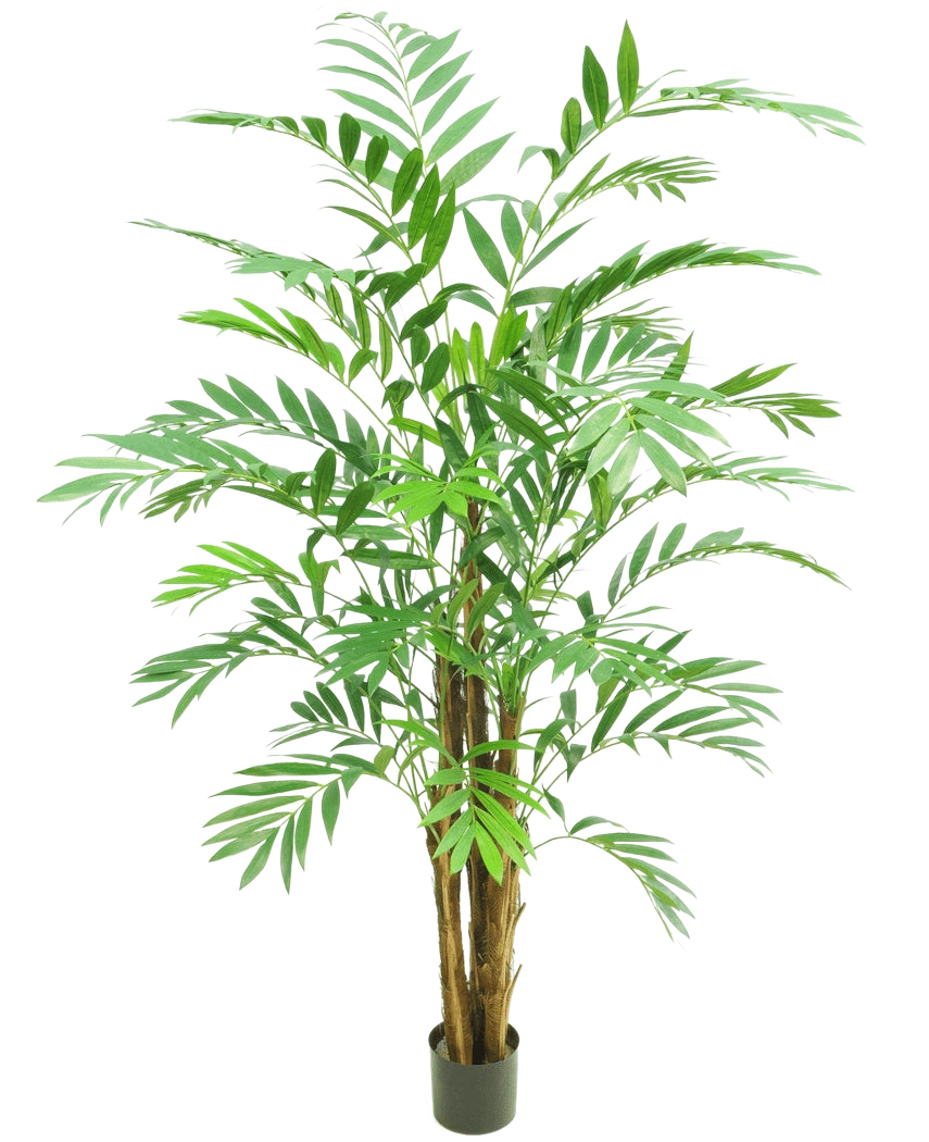 La pianta artificiale Hawaii Parlor 180 cm è un'alta palma da interni in vaso con diversi tronchi marroni sottili e foglie verdi lunghe e ricurve, su uno sfondo bianco semplice.
