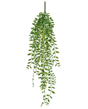 La pianta succulenta artificiale pensile da 76 cm ha foglie verdi e steli sottili su uno sfondo bianco semplice.