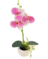 De Kunst Orchidee 28 cm wit/roze in pot heeft een groene orchideeënstengel met levendige roze en witte bloemen en groene bladeren, allemaal gerangschikt in een witte pot van keramiek.