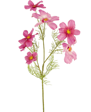 Un singolo fiore artificiale Cosmos fucsia da 74 cm con foglie delicate e piumate e molteplici fiori fucsia con centri gialli è mostrato su un semplice sfondo bianco.