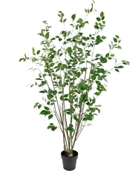 Pianta artificiale Ficus 180 cm