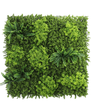 Il pannello UV Siepe Artificiale Muschio 100x100 cm presenta un fogliame verde denso e variegato e diversi grappoli di foglie simili a felci su uno sfondo bianco.