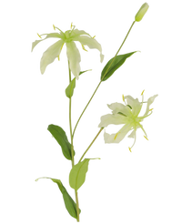 Fiore artificiale Gloriosa 81 cm bianco