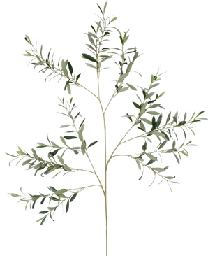 De Kunst Olijftak 109 cm heeft dunne stelen en langwerpige groene bladeren, elegant weergegeven tegen een witte achtergrond.