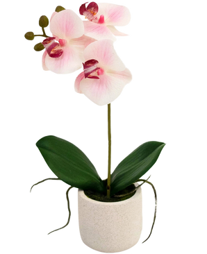 L'orchidea artificiale Real Touch 30 cm rosa/bianco ha tre fiori rosa chiaro e foglie verdi in un semplice vaso bianco, perfetto per illuminare qualsiasi stanza.
