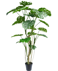 Pianta Artificiale Monstera 210 cm