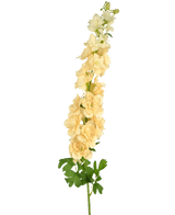 Een enkele Kunstbloem Delphinium 105 cm crème met meerdere lichtgele bloemen en groene bladeren, tegen een effen witte achtergrond.