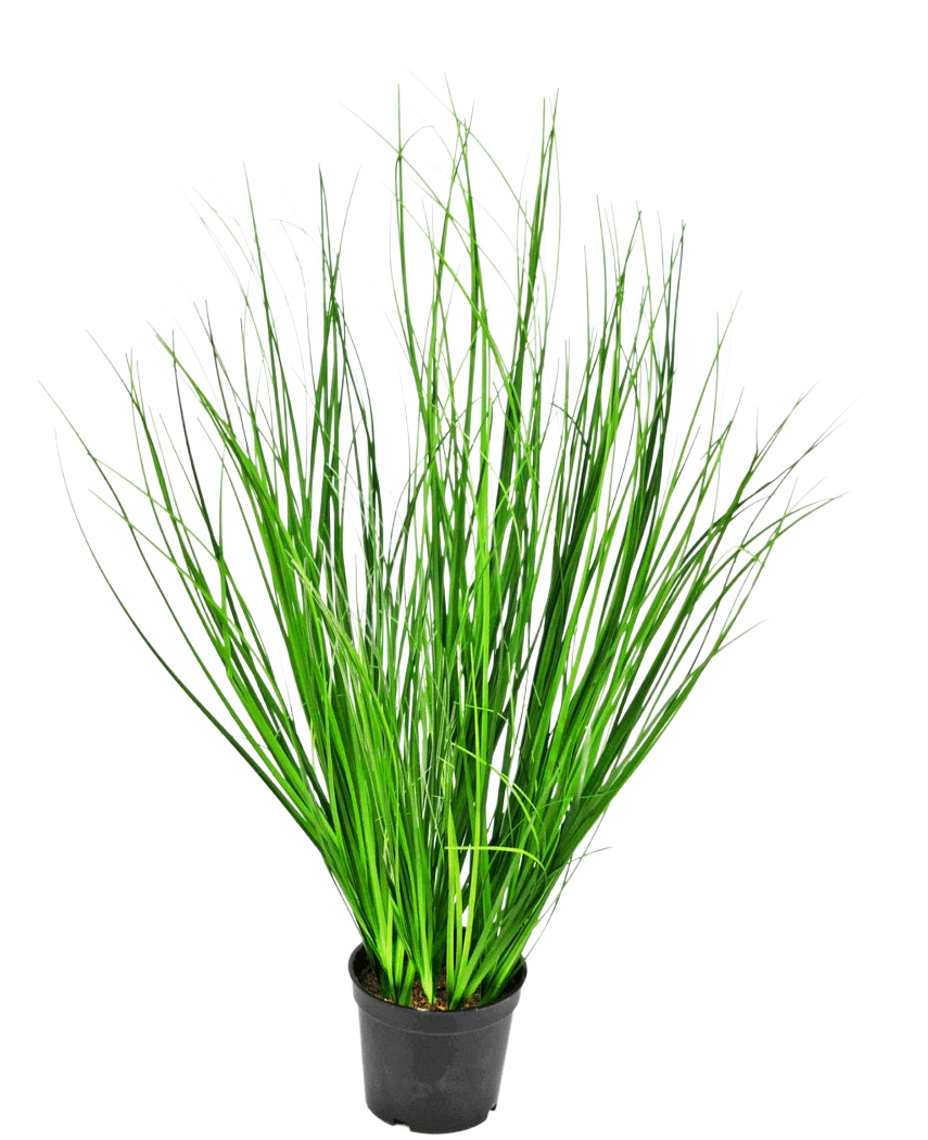 L'erba artificiale cipolla ignifuga da 58 cm è un'erba alta decorativa con sottili fili verdi in un vaso di plastica nera, raffigurata su un semplice sfondo bianco.