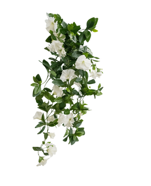 La pianta pensile artificiale Petunia 70 cm bianca ha foglie verdi e fiori bianchi a forma di tromba in un design a cascata, a forma di vite, su uno sfondo bianco semplice.