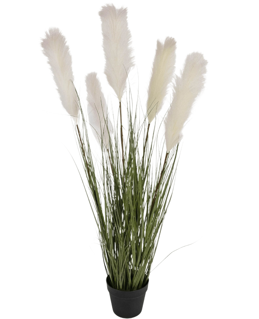 Il vaso per erba artificiale in tessuto di canna e cipolla da 120 cm ignifugo ha alte foglie verdi simili a erba e soffici pennacchi bianchi di pampa in un vaso nero, su un semplice sfondo bianco.