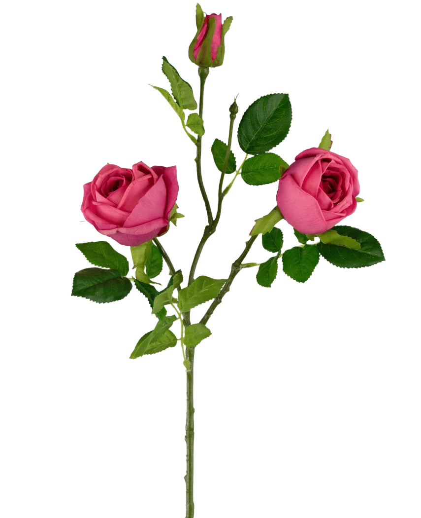 Il ramo di rosa artificiale Real Touch rosa scuro da 72 cm ha un singolo stelo verde con due rose rosa scuro in fiore, un bocciolo di rosa nella parte superiore e diverse foglie verdi su un semplice sfondo bianco.
