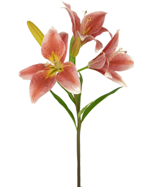 Su uno stelo del fiore artificiale giglio asiatico da 66 cm rosa antico ci sono diversi gigli rosa in fiore con foglie verdi su uno sfondo bianco.